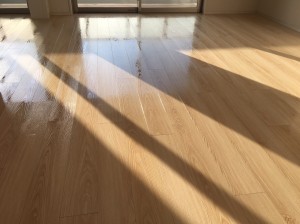 埼玉県戸田市　グローベル北戸田ステーションアリーナ　新築マンション　メムコーポレーション　タフαシリーズ　施工後②