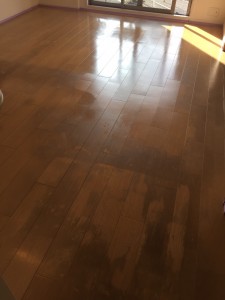 東京都東大和桜ヶ丘　東京ユニオンガーデン　剥離前