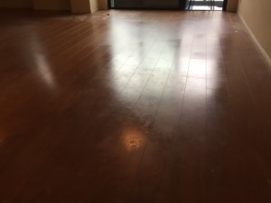神奈川県川崎市幸区　クレッセント川崎タワー　施工前