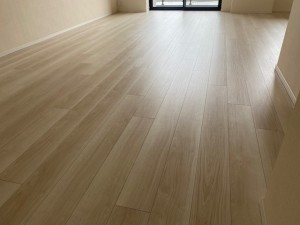 東京都中央区　新築マンション　ブランズタワー豊洲　施工前