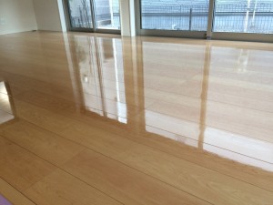 東京都練馬区春日町　新築戸建　飯田産業　サンロードアート　施工後②