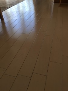 IMG_5113