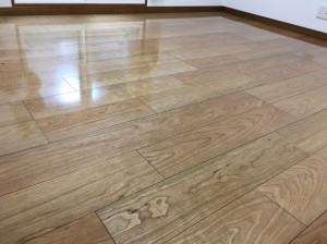 群馬県前橋市　新築戸建　秋田プライウッド　CHR-02V（ブラックチェリー）　施工後