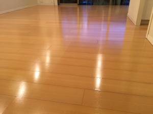 【ｼﾘｺﾝ】東京都世田谷区　深沢ハウス　乾燥後