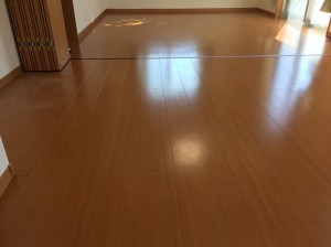 神奈川県伊勢原市　築２年居住中戸建　ノダ　ネクシオハード　施工前